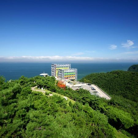 Haslla Art World Museum Hotel Gangneung Exteriör bild